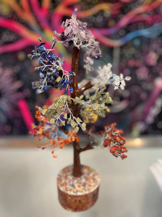 XL Money Tree