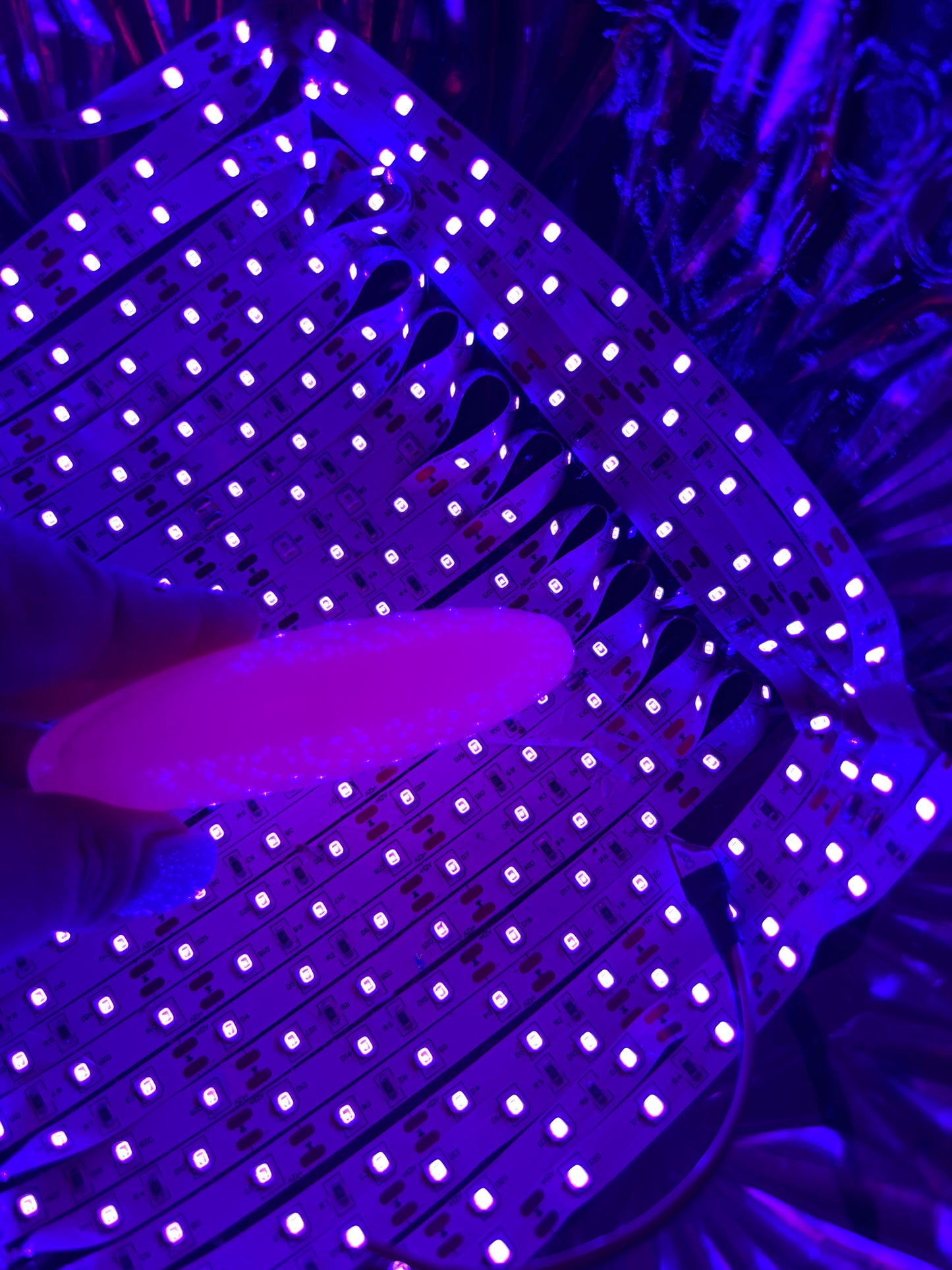 Mongano Calcite Palm