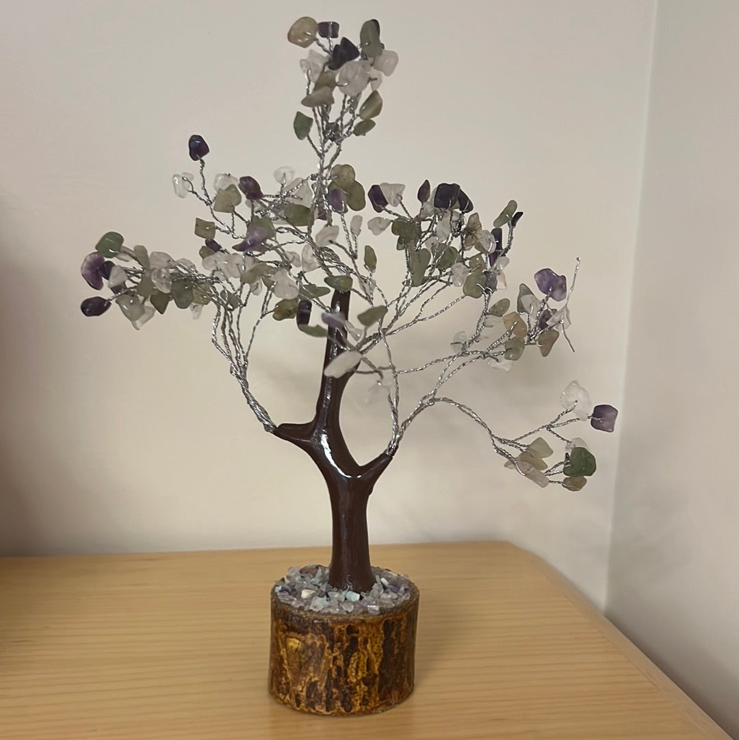Small Money Trees