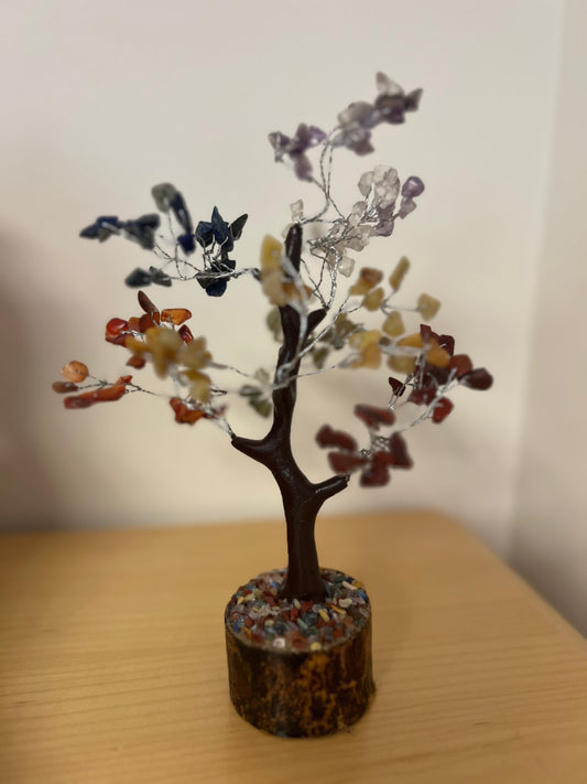 Small Money Trees