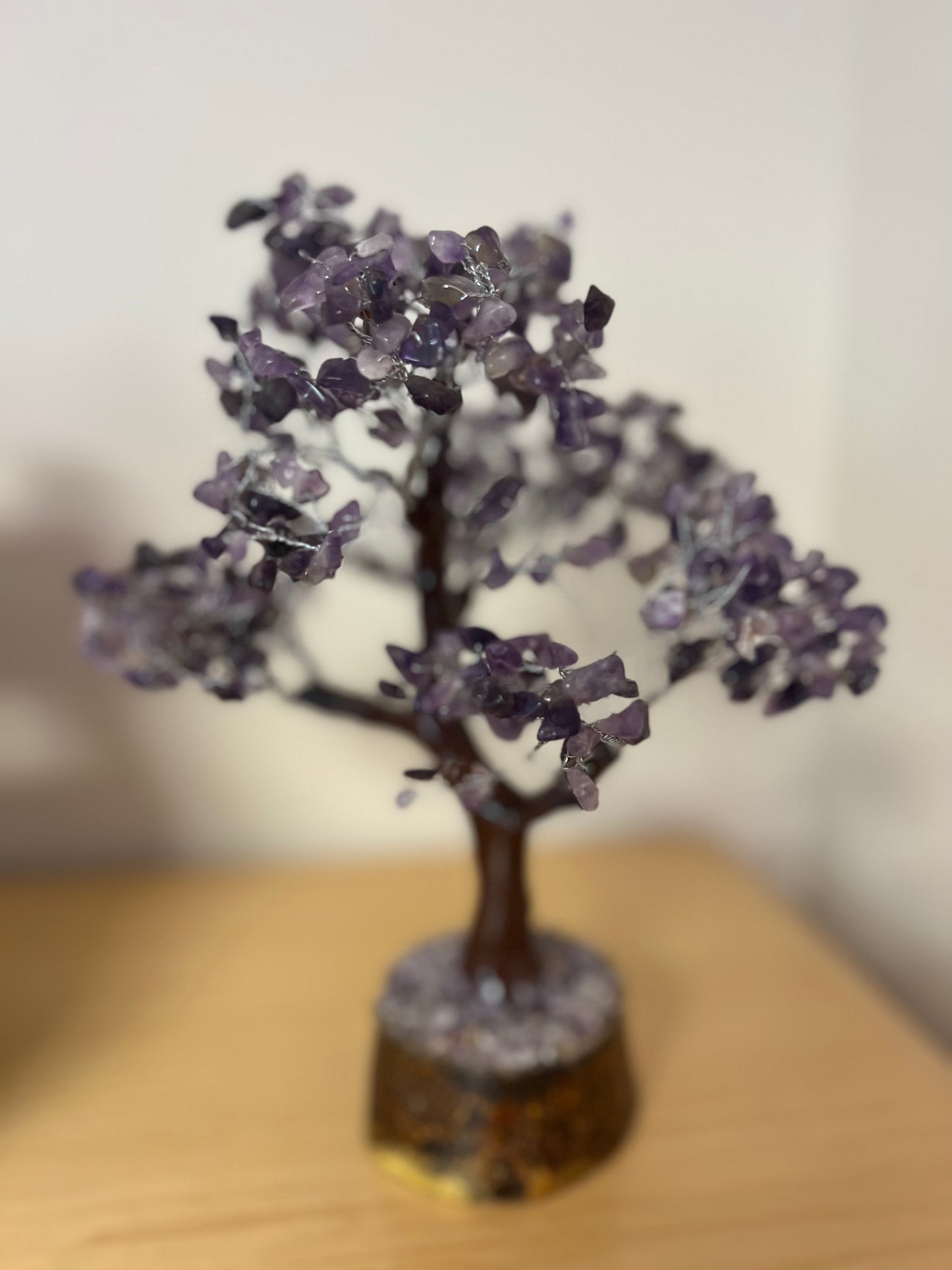 Large Money Trees