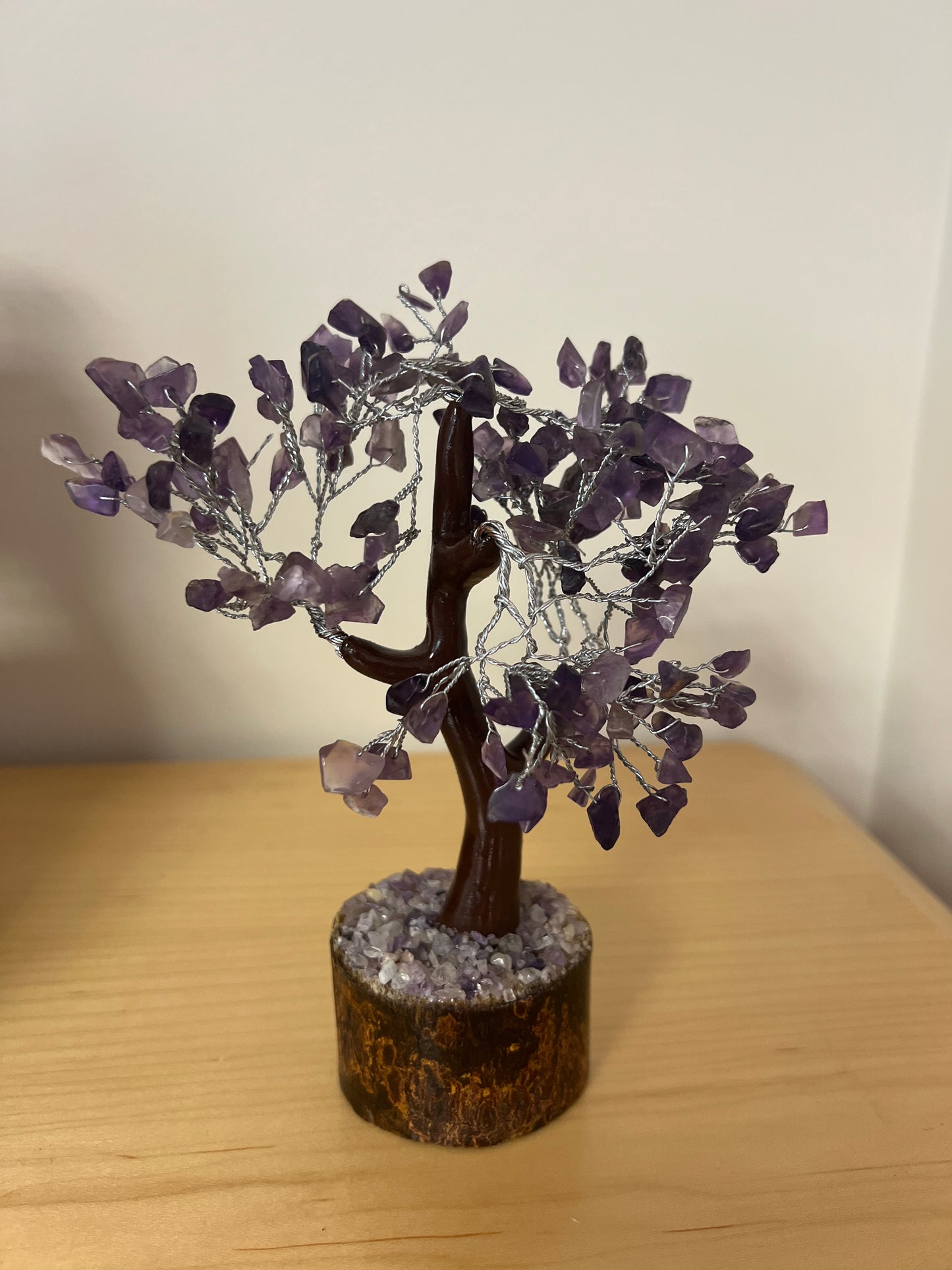 Small Money Trees