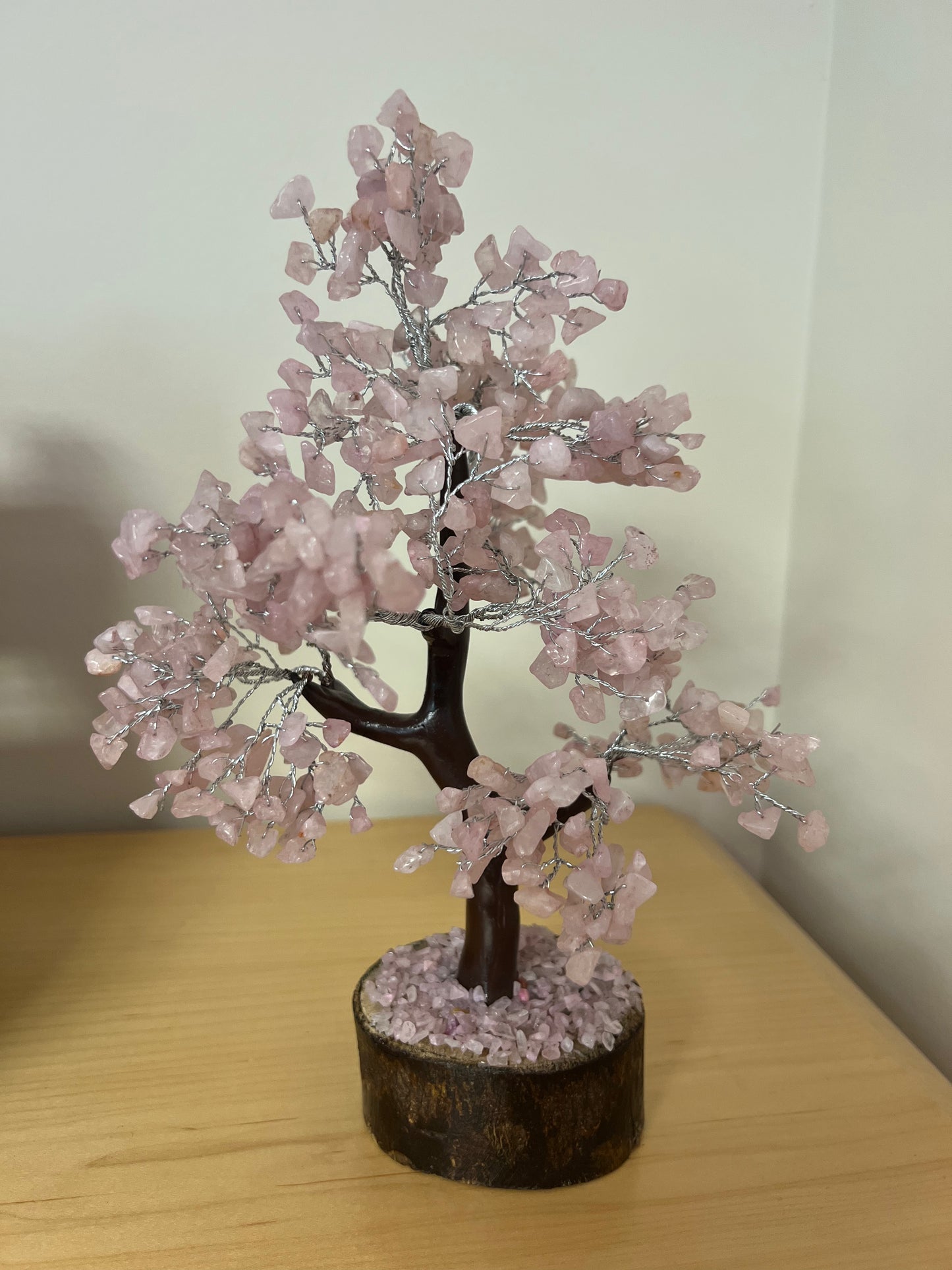 Large Money Trees