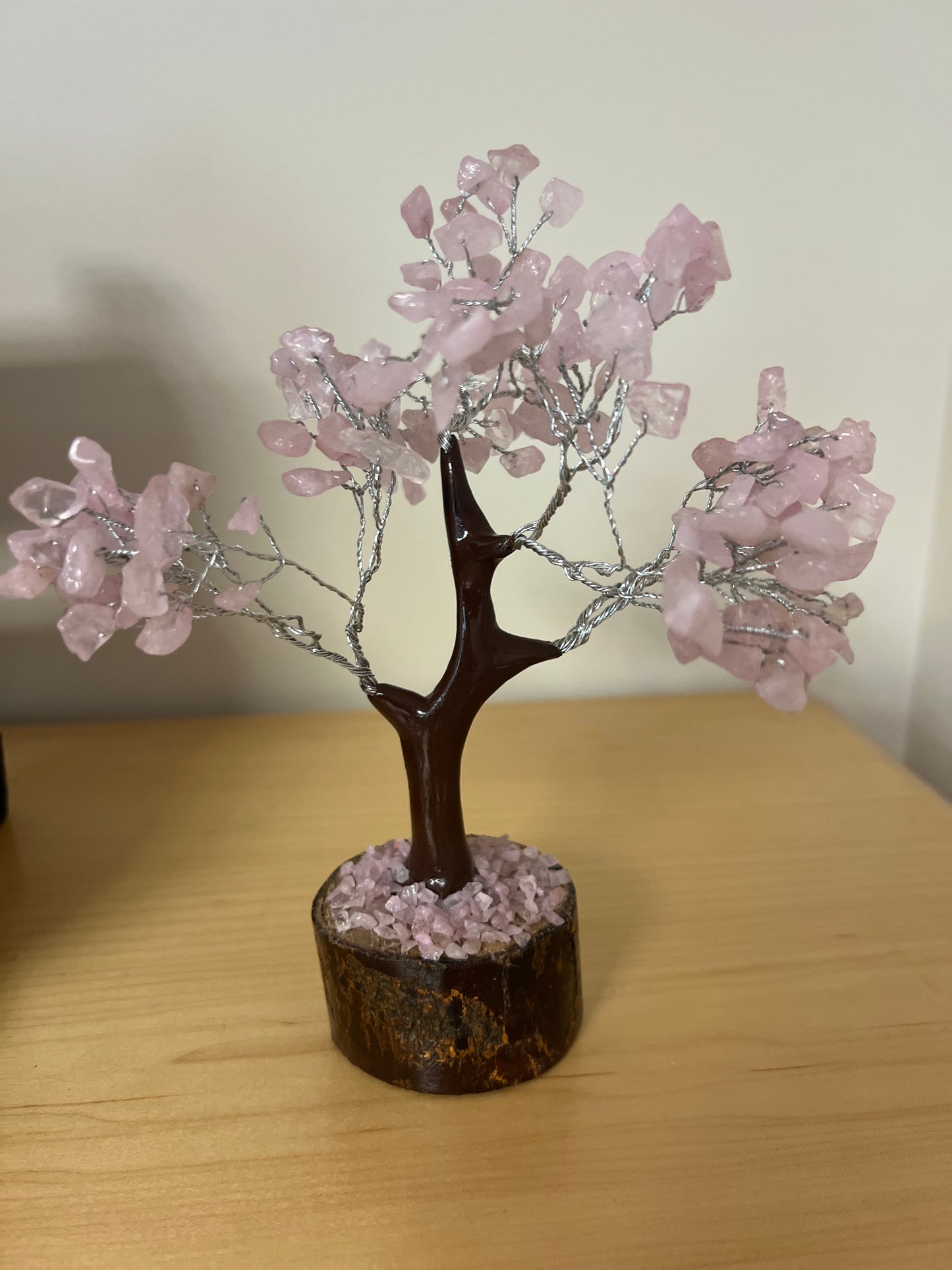 Small Money Trees