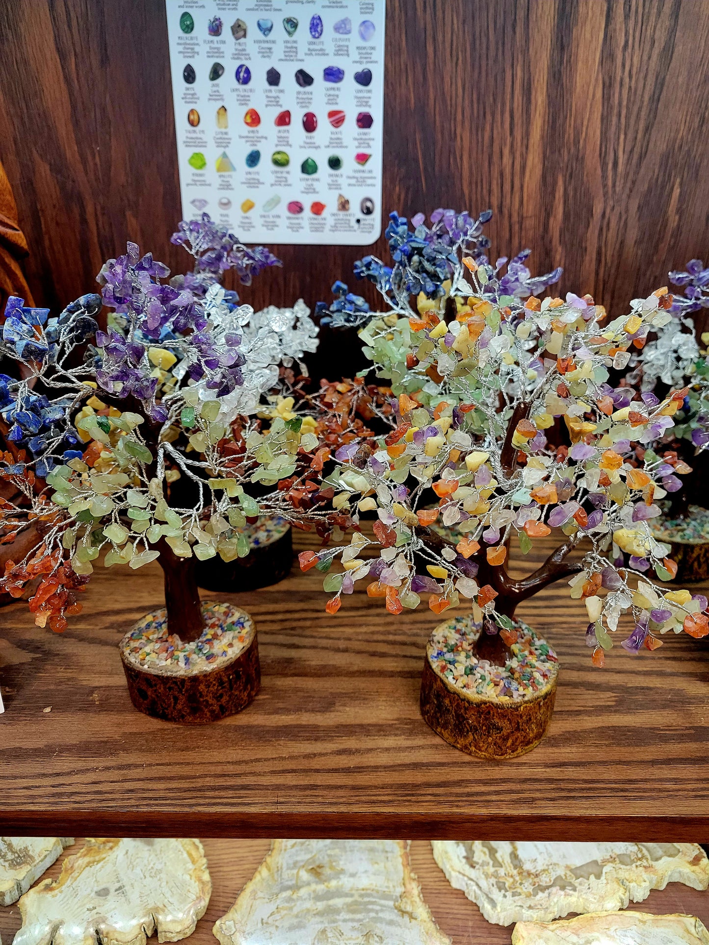 Large Money Trees