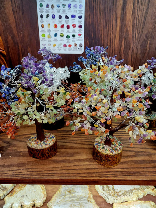 Large Money Trees
