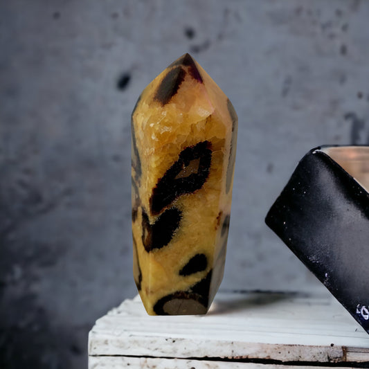 Septarian
