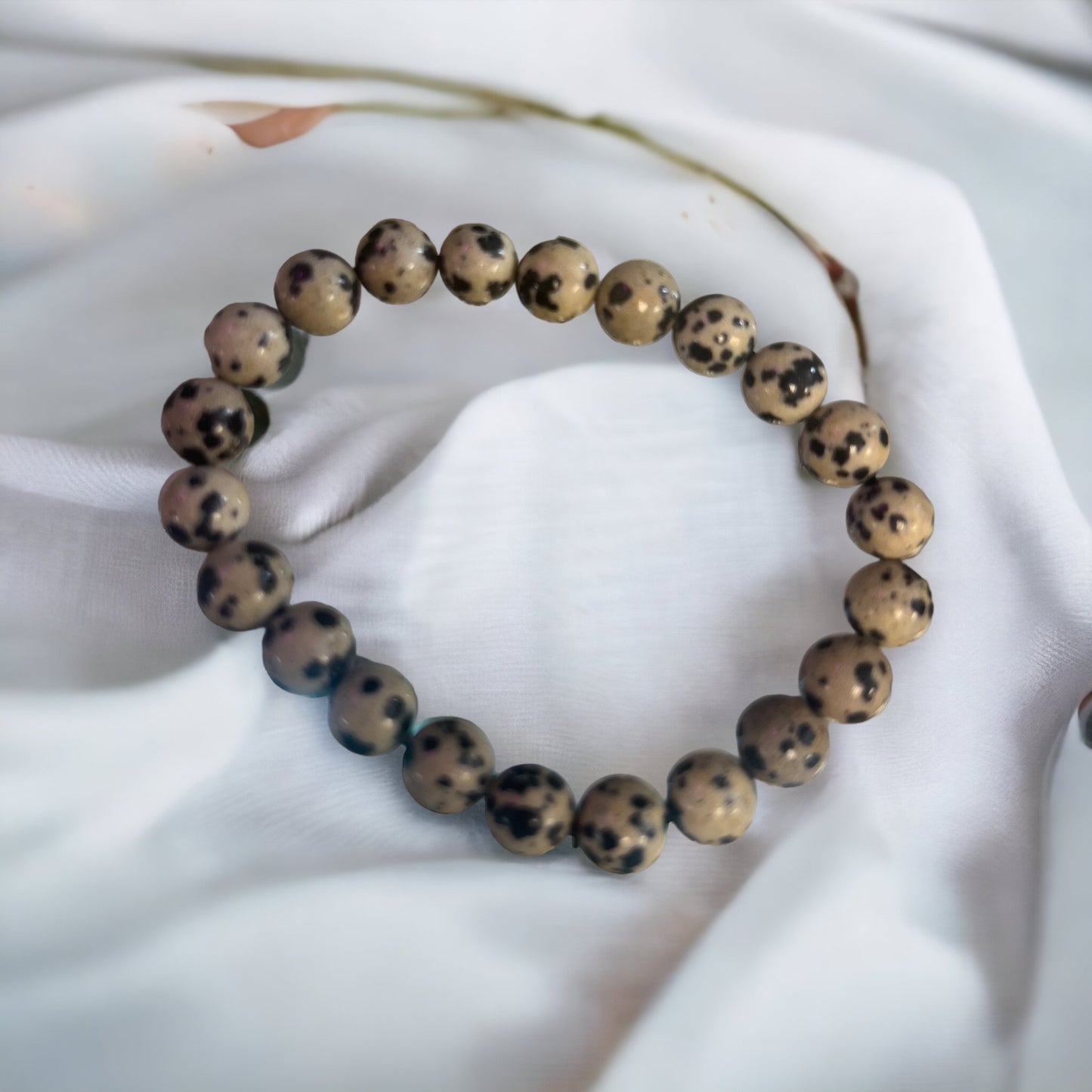Dalmation Jasper Bracelet