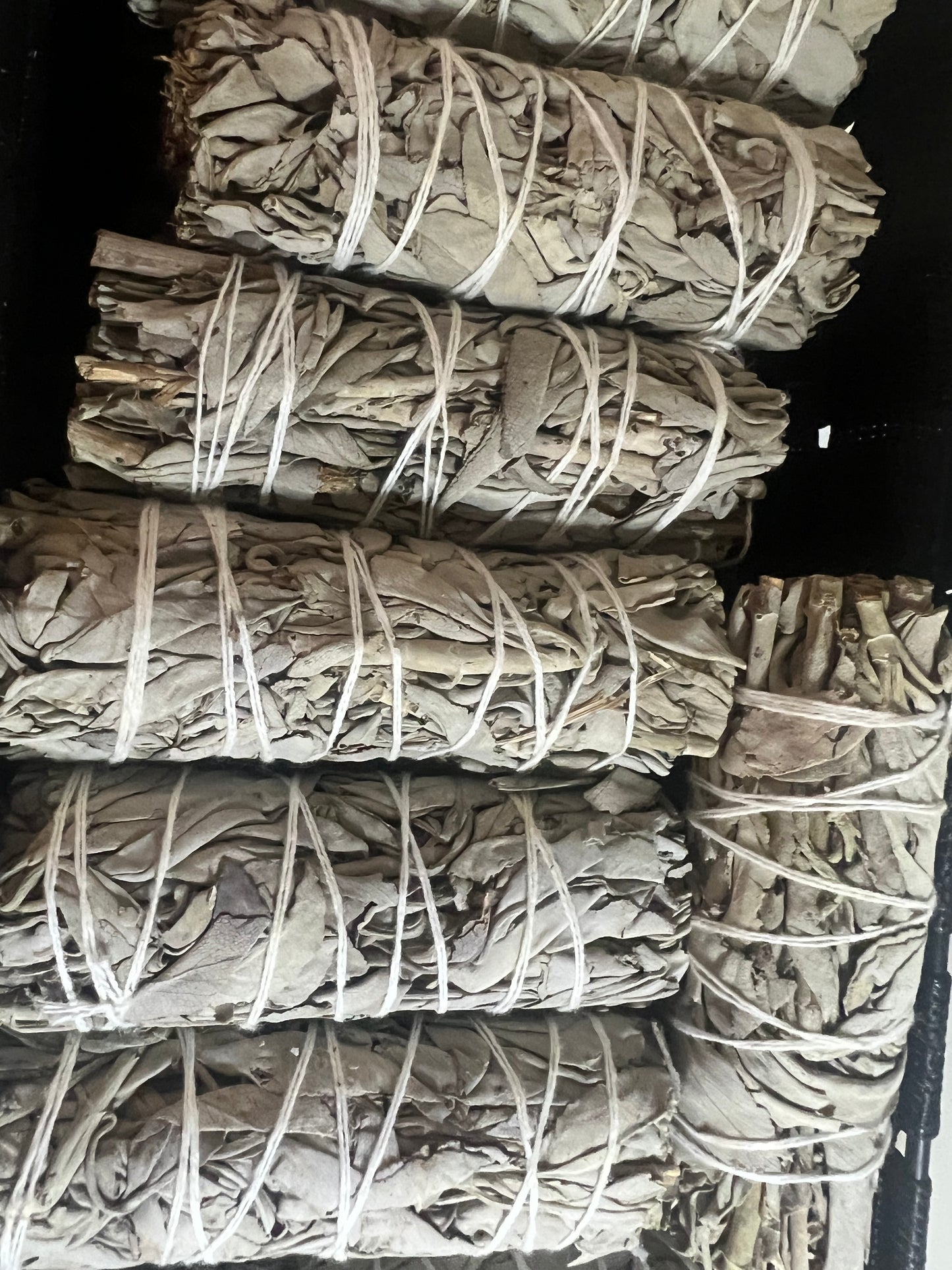 White Sage