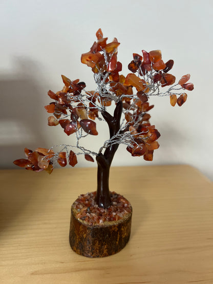 red agate money tree Small Money Trees – RXCrystals