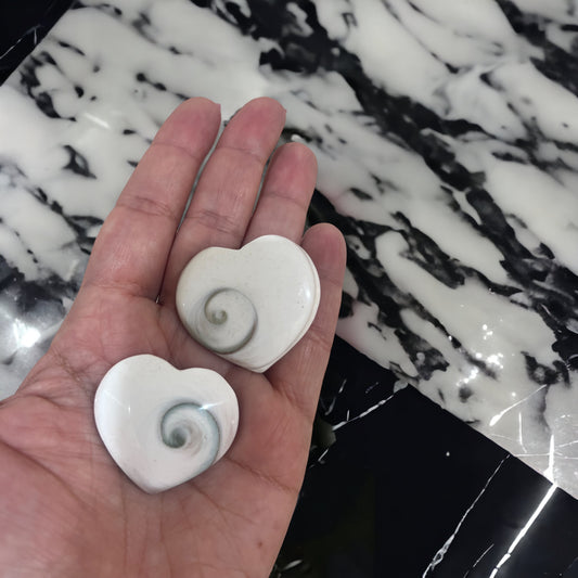 Shiva Shell Hearts