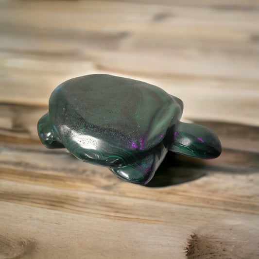 Malachite Turtle